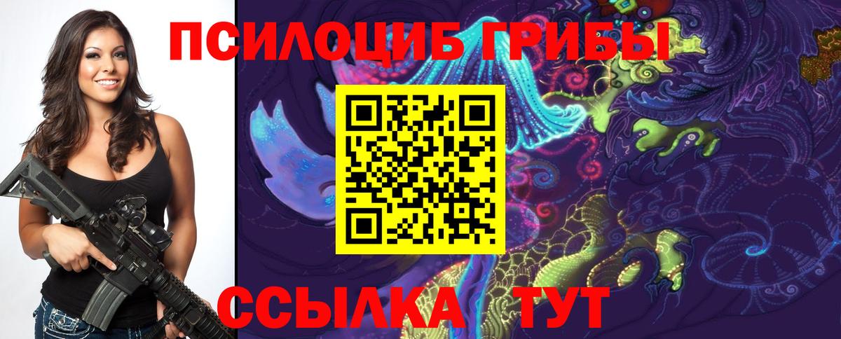 Псилоцибиновые грибы мицелий Богородицк