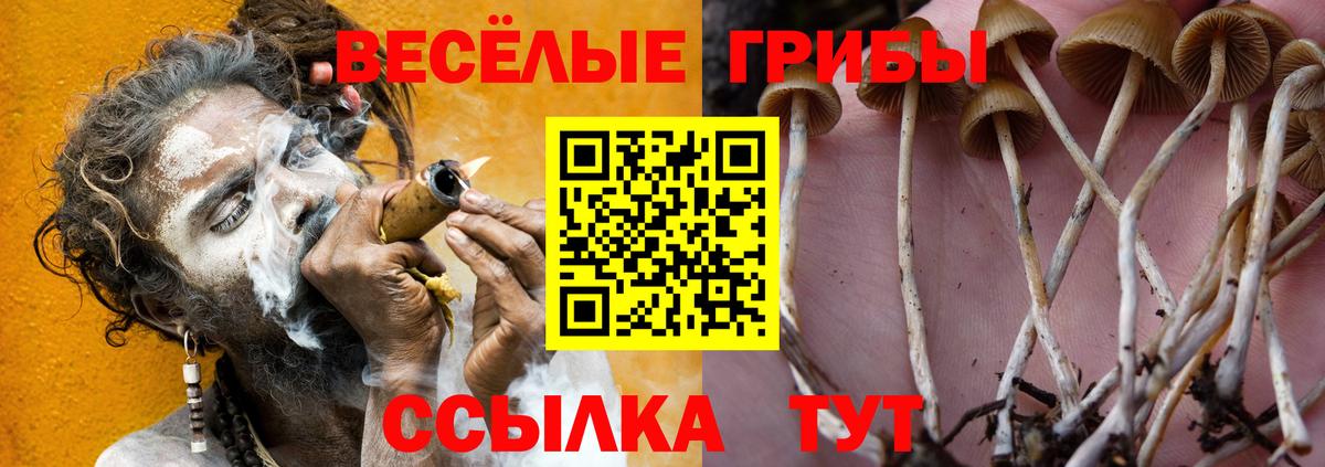 Псилоцибиновые грибы Psilocybine cubensis  где купить наркотик  Богородицк  Вход с VPN  Псилоцибиновые грибы MAGIC MUSHROOMS 